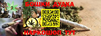 шишки Партизанск