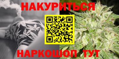 шишки Партизанск