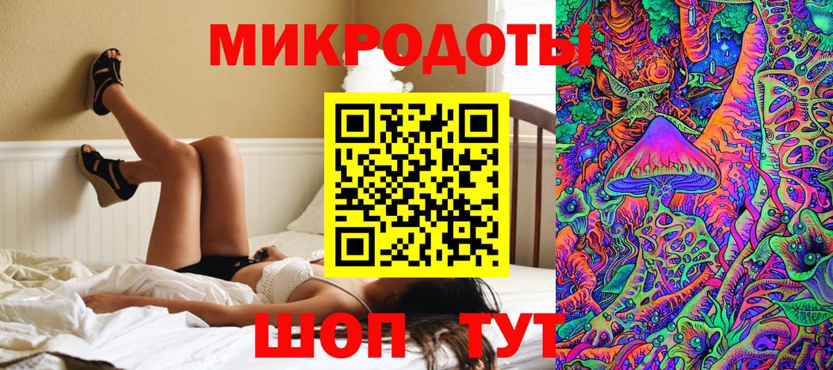 Псилоцибиновые грибы мицелий Ростов-на-Дону