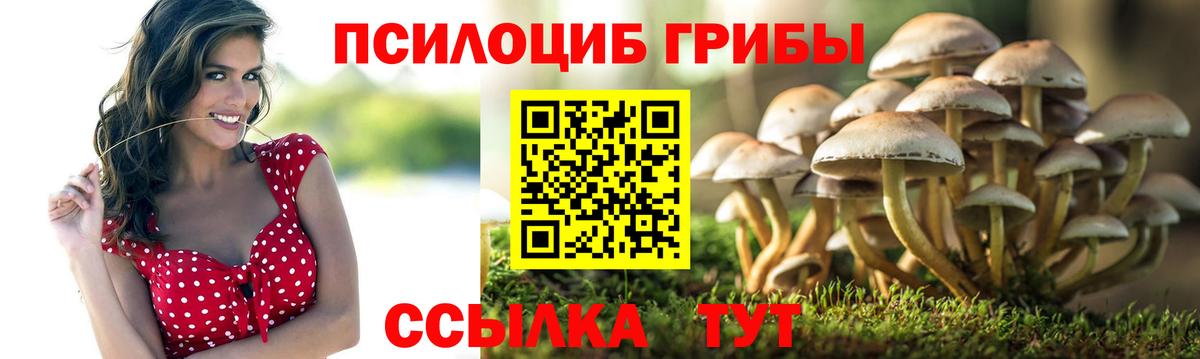 Ростов-на-Дону  Галлюциногенные грибы Magic Shrooms  Вход с VPN 